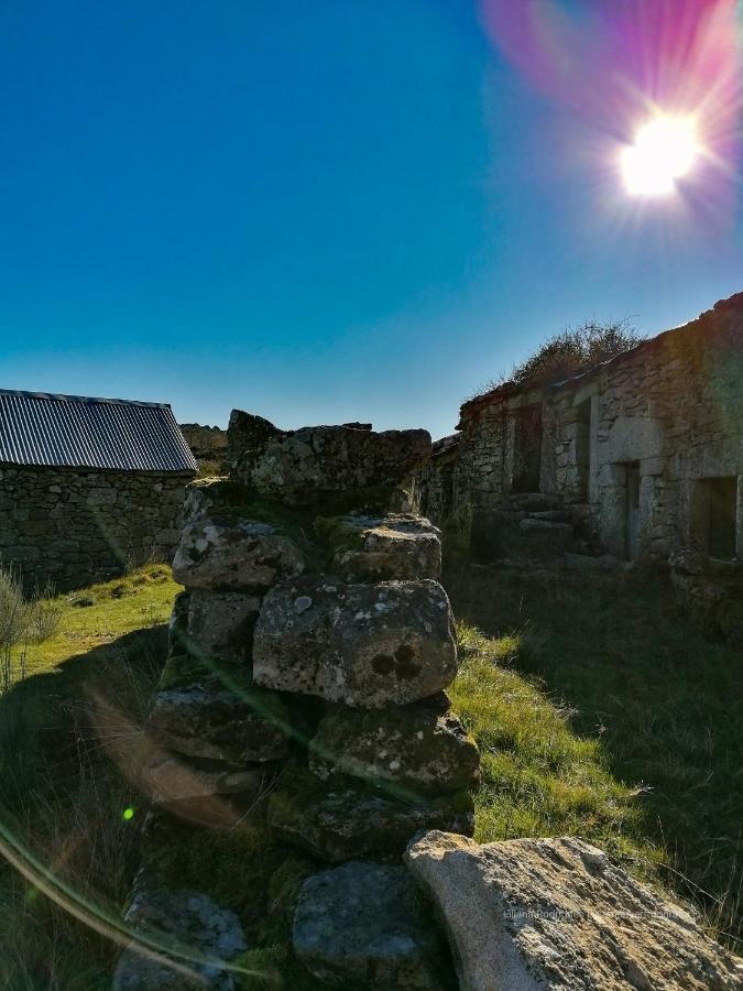 Casa Largo S Lourenco E Casa Da Videira Mazes Eksteriør bilde