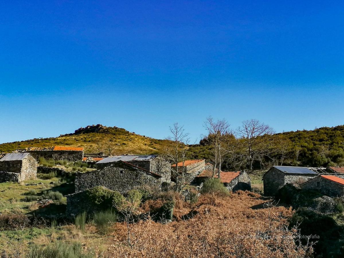 Casa Largo S Lourenco E Casa Da Videira Mazes Eksteriør bilde